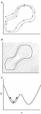 Metastability of Neuronal Dynamics during General Anesthesia: Time for a Change in Our Assumptions?